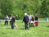 sorano CAC male et les juges